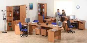 Мебель для персонала Альфа 61 Ольха в Большой Мурте - bolshaya-murta.mebel54.com | фото