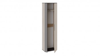 Шкаф для одежды «Нуар» тип 1 Фон серый/Дуб сонома в Большой Мурте - bolshaya-murta.mebel54.com | фото