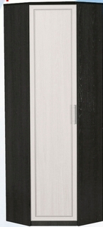 Шкаф для одежды угловой ДЛЯ ГОСТИНОЙ ШОУ-695 Венге/Дуб выбеленный в Большой Мурте - bolshaya-murta.mebel54.com | фото