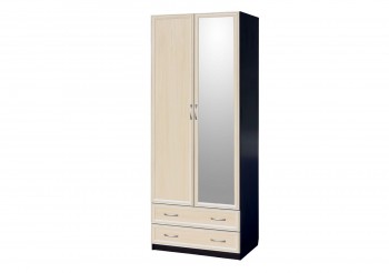 Шкаф для платья и белья 2-х дверный с профилем МДФ с 1 зеркалом Венге/Дуб выбеленный в Большой Мурте - bolshaya-murta.mebel54.com | фото