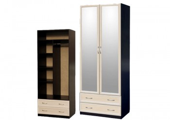 Шкаф для платья и белья 2-х дверный с профилем МДФ с 2 зеркалами Венге/Дуб выбеленный в Большой Мурте - bolshaya-murta.mebel54.com | фото